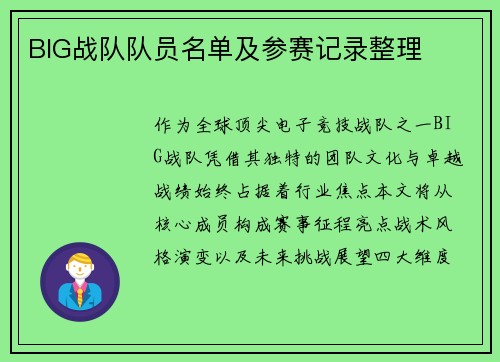 BIG战队队员名单及参赛记录整理